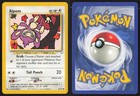 Aipom