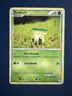 Sunkern