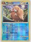Piloswine