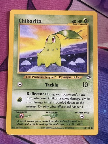 Chikorita