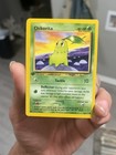 Chikorita