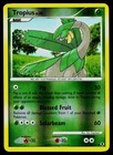 Tropius
