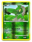 Tropius