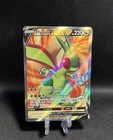 Flygon V
