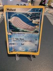 Wailord