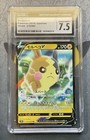 Morpeko V