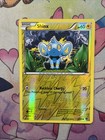 Shinx