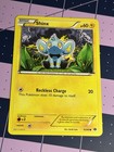 Shinx