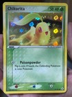 Chikorita
