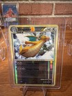 Dragonite