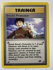 Brock's Protection
