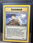 Brock's Protection