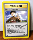 Brock's Protection