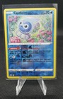 Castform Rainy Form