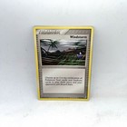 Windstorm