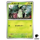 Chikorita