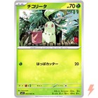 Chikorita