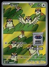 Pidgey