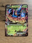 Heracross
