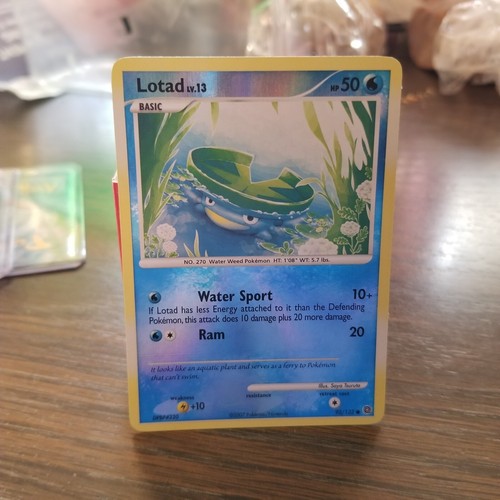 Lotad