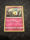 Cutiefly
