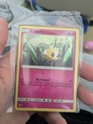 Cutiefly