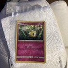 Cutiefly