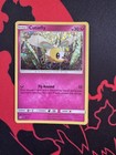 Cutiefly