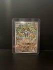 Magnezone EX