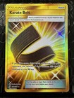 Karate Belt