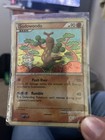 Sudowoodo