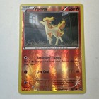 Ponyta