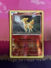 Ponyta