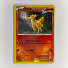 Ponyta