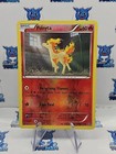 Ponyta
