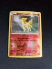 Ponyta