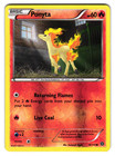 Ponyta