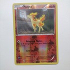 Ponyta