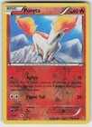 Ponyta