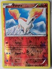 Ponyta