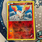 Ponyta