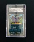 Zorua