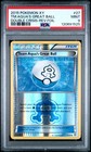 Team Aqua's Great Ball