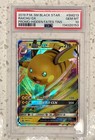 Raichu GX