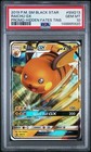 Raichu GX