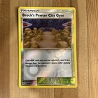 Brock's Pewter City Gym