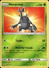 Heracross