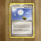 Fluffy Berry