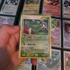 Sceptile