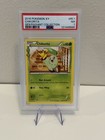 Chikorita